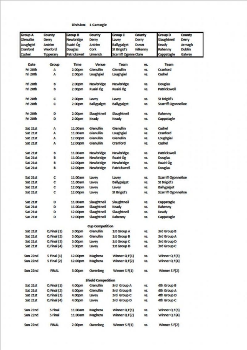 Div 1 National Feile Camogie Fixtures